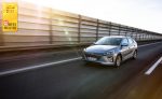 Hyundai Ioniq Elektro ist Wertmeister 2017